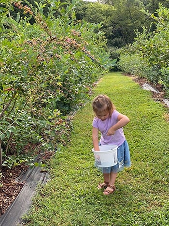 Fruit Picking for Kids in Fayetteville North Carolina