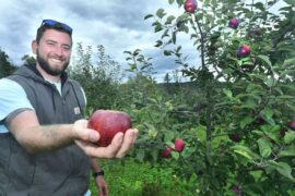 Fruit Picking for Kids in Haverhill Massachusetts