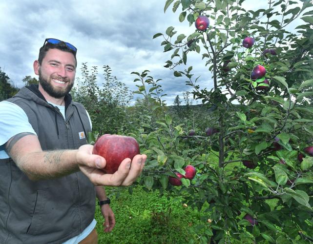 Fruit Picking for Kids in Haverhill Massachusetts