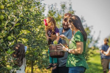 Fruit Picking for Kids in High Point North Carolina