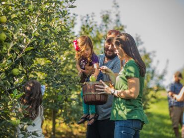 Fruit Picking for Kids in High Point North Carolina