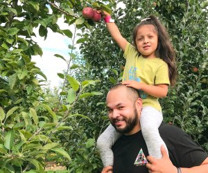 Fruit Picking for Kids in Newton Massachusetts