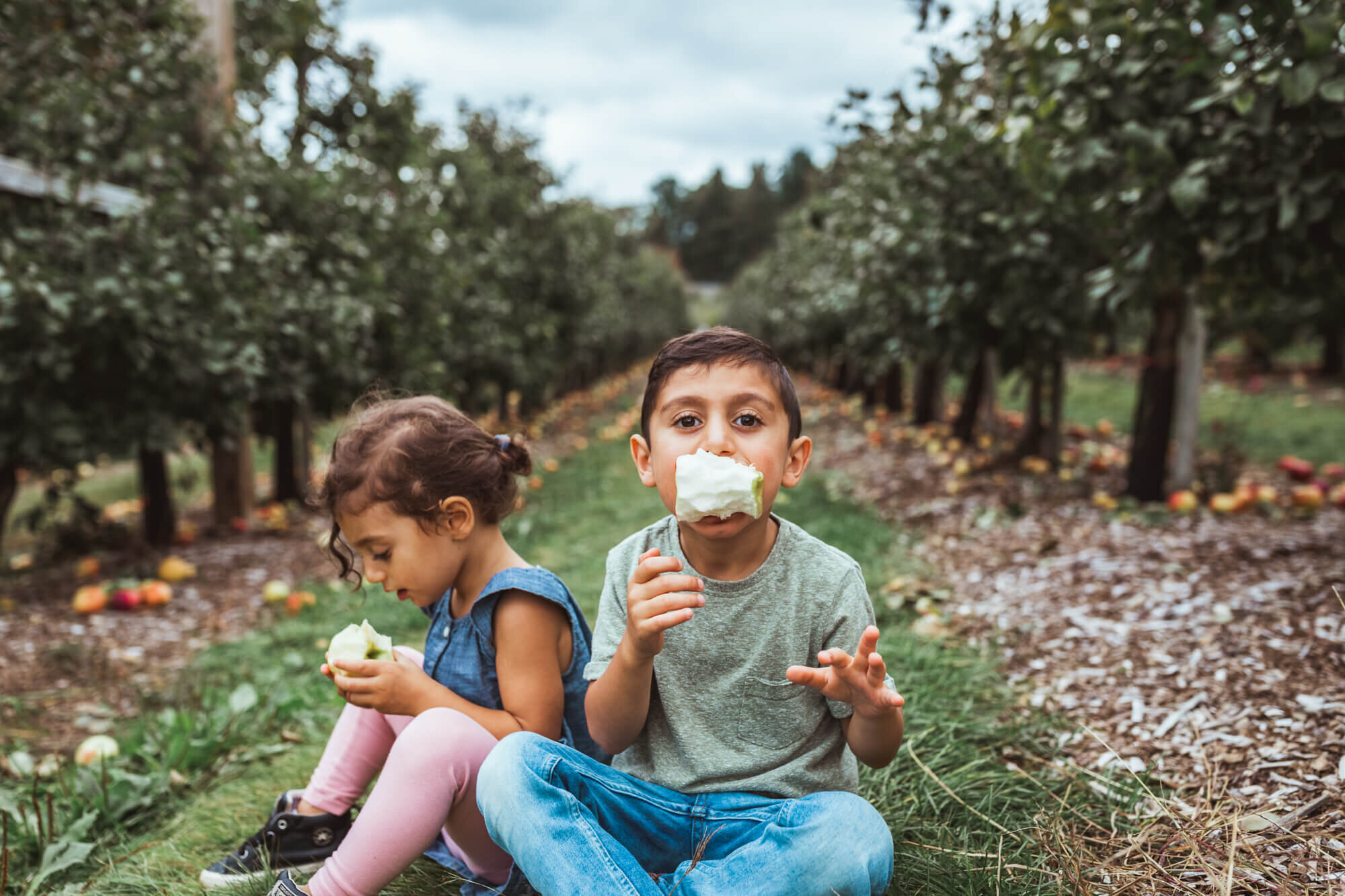 Fruit Picking in Newton Massachusetts