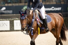 Horse Riding in Cary North Carolina