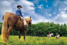 Horse Riding in Concord North Carolina