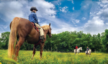 Horse Riding in Concord North Carolina