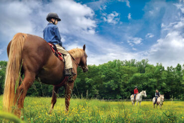 Horse Riding in Concord North Carolina