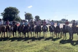 Horse Riding in Evansville Indiana