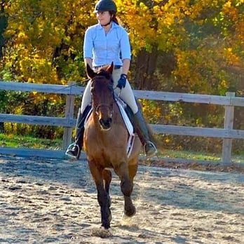 Horse Riding in Lowell Massachusetts