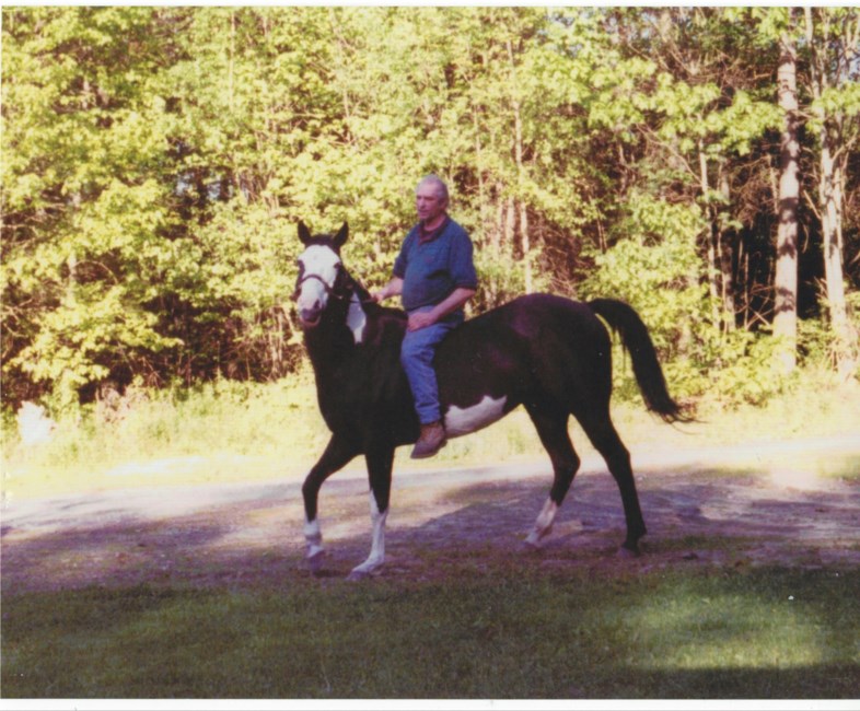 Horse Riding in Lynn Massachusetts