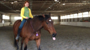 Horse Riding in Newton Massachusetts