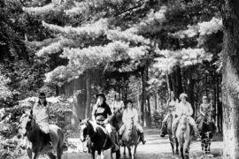 Horse Riding in Springfield Massachusetts