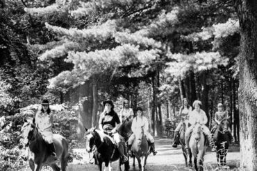 Horse Riding in Springfield Massachusetts