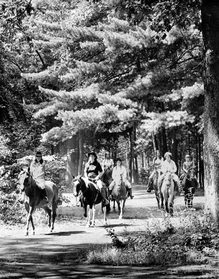 Horse Riding in Springfield Massachusetts