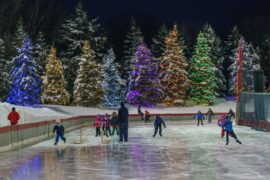 Ice Skating in Fayetteville North Carolina