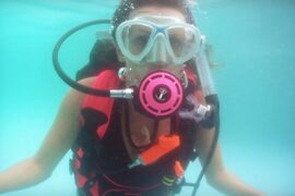 Snorkelling Locations in Gastonia North Carolina