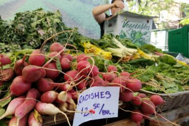 Sunday Markets in Newton Massachusetts