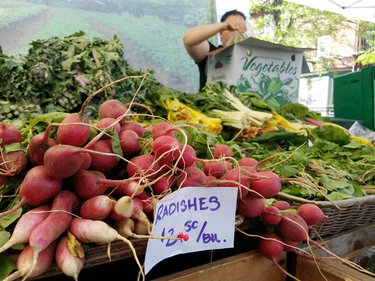 Sunday Markets in Newton Massachusetts