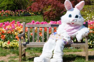 Things to do at Easter for Kids in Concord North Carolina