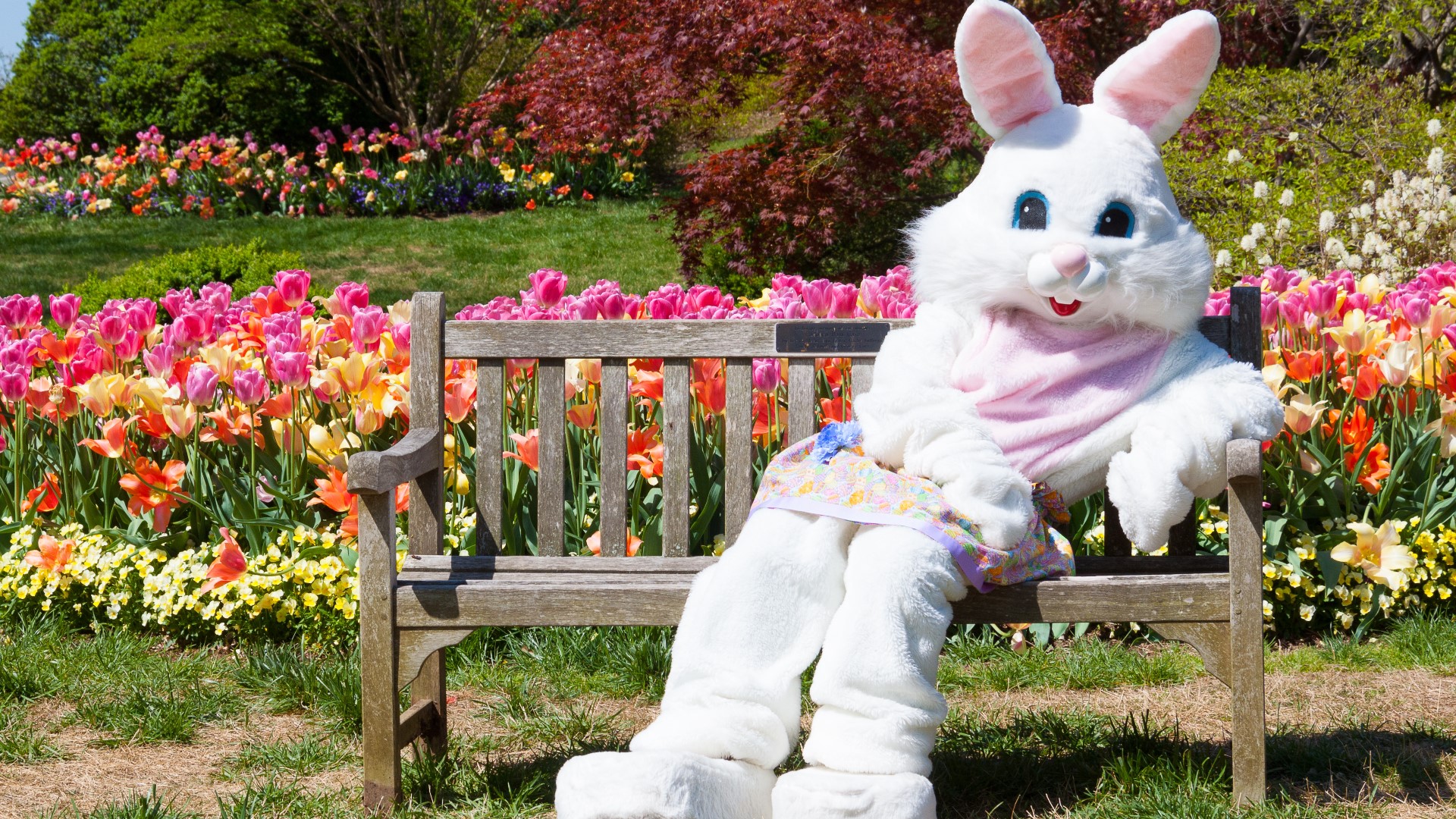 Things to do at Easter for Kids in Concord North Carolina