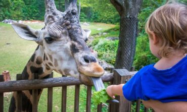 Zoos, Animal Farms and Aquariums in Fayetteville North Carolina