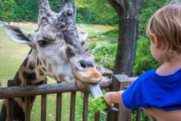 Zoos, Animal Farms and Aquariums in Fayetteville North Carolina