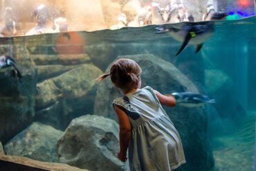 Zoos, Animal Farms and Aquariums in Gastonia North Carolina